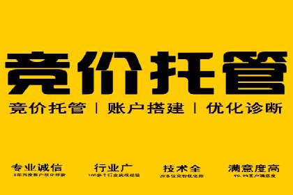 百度广告投放技巧：案例解析助力品牌增长